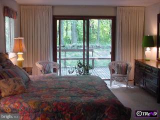 17 A Atwater Road Chadds Ford, PA 19317 - Photo 4 of 6 Gallery Image 4
