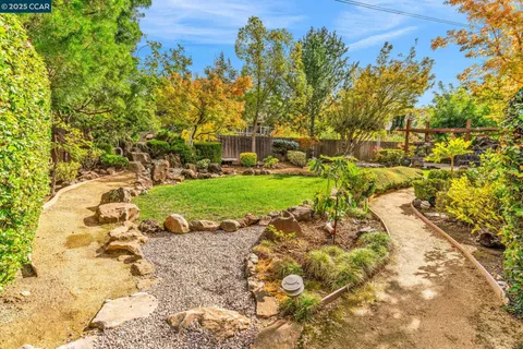 a view of a garden with plants and large trees