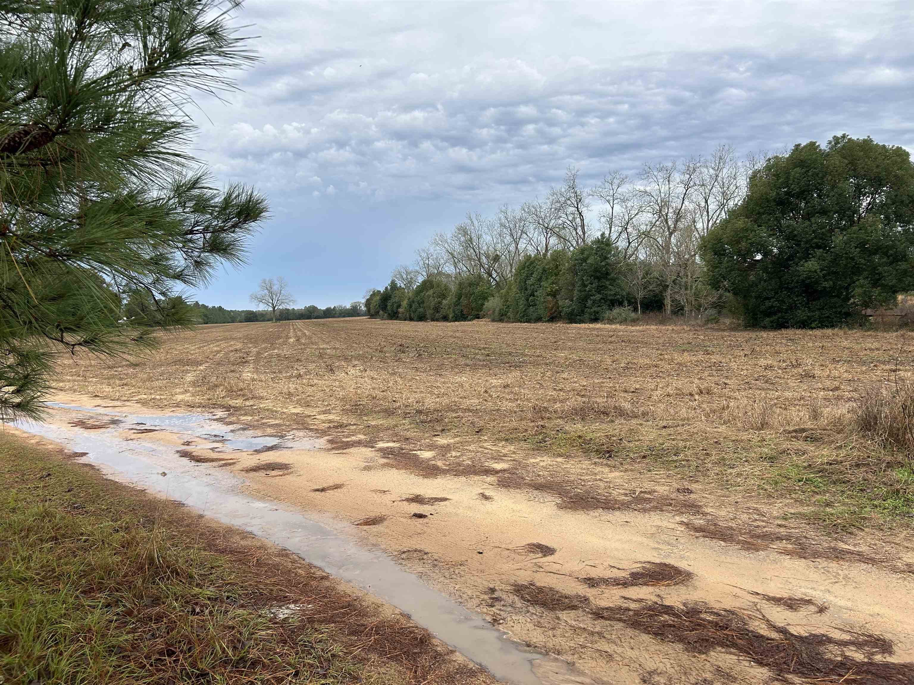 0 Alto Brill Road Robertsdale, AL 36567 - Photo 2 of 2 View