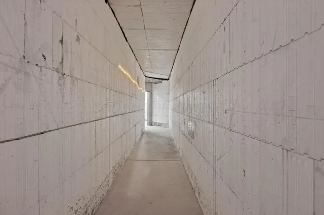 a view of a house with a small yard plants and large tree
