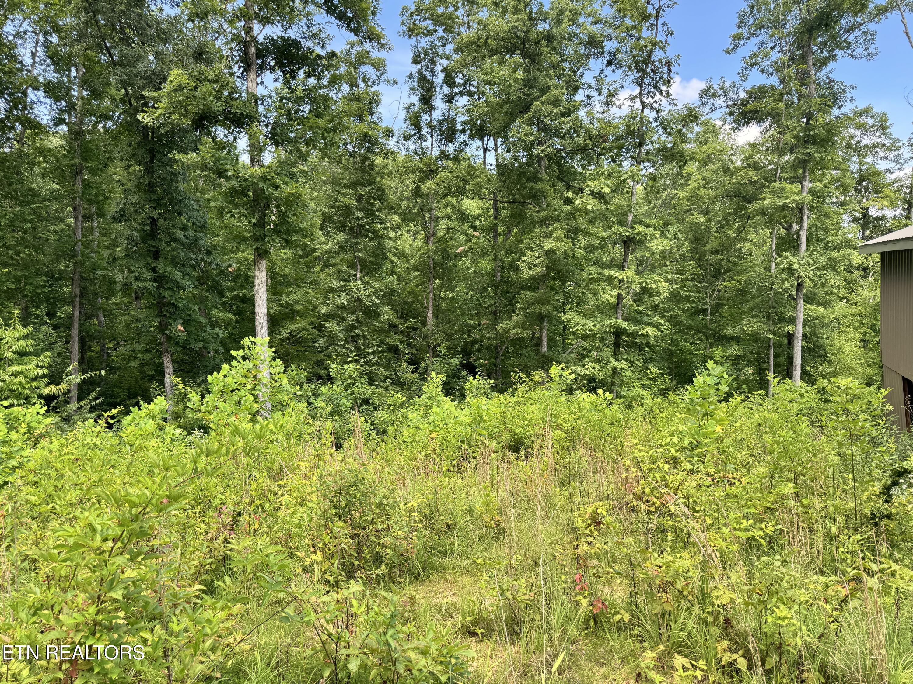 1291 Buck Crawford, TN 38554 - Photo 5 of 9 IMG_4188