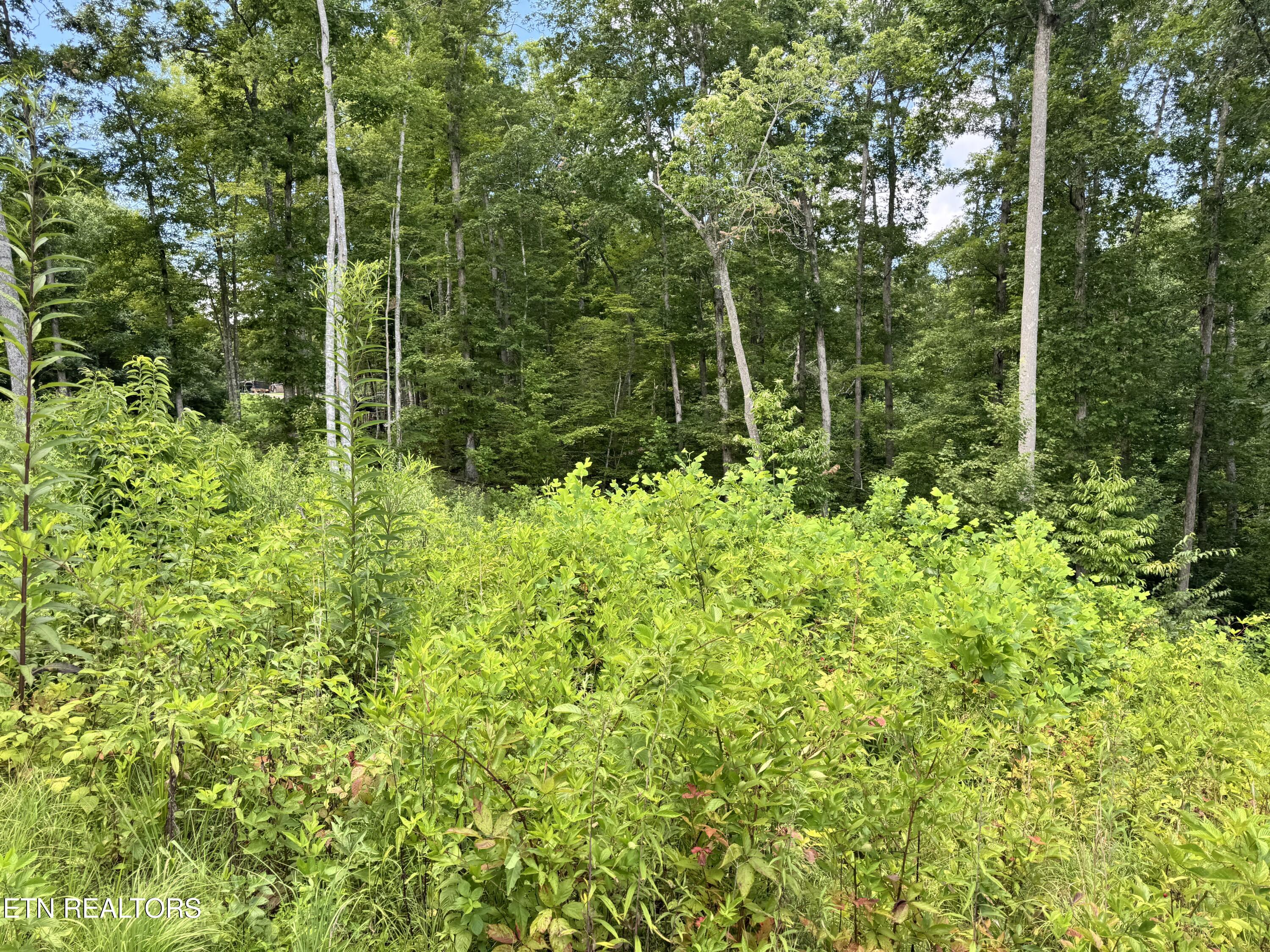 1291 Buck Crawford, TN 38554 - Photo 6 of 9 IMG_4189