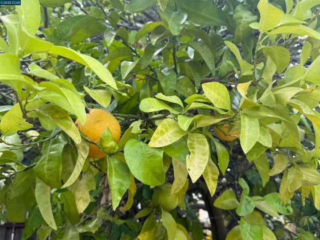 $679,500 | 1546 Mann Drive, Pinole, CA 94564