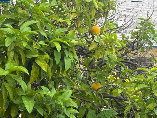 $679,500 | 1546 Mann Drive, Pinole, CA 94564