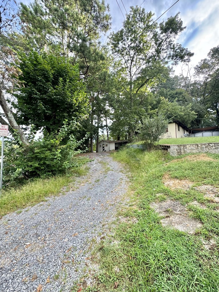 204 Bogle Street Dalton, GA 30721 - Photo 3 of 25 a view of a yard with a tree
