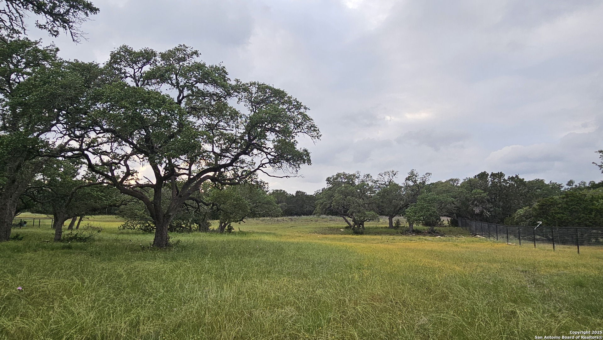 a view of a green field