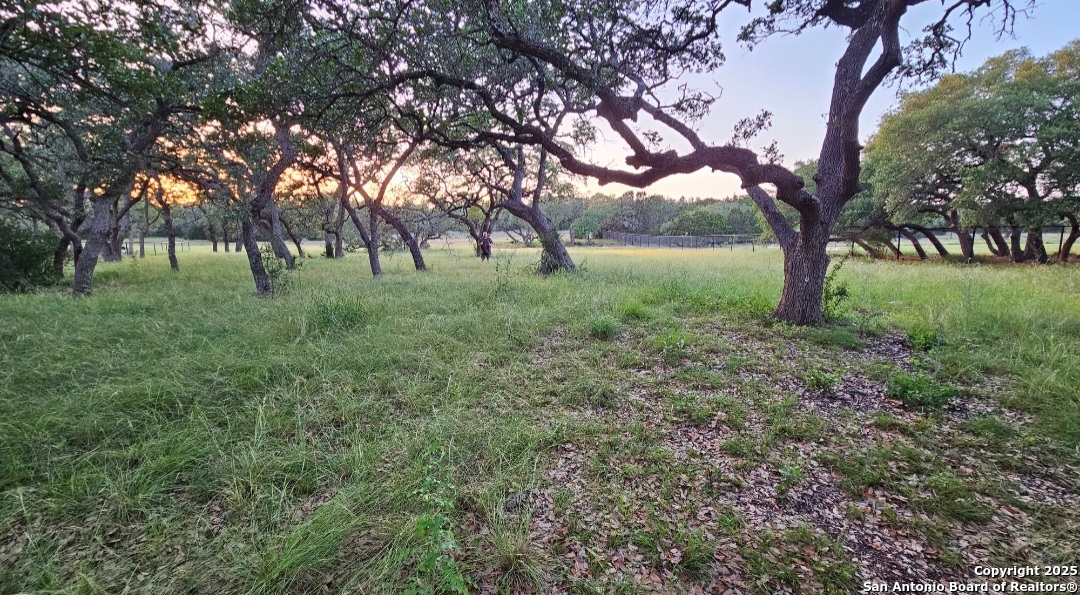 874 Maximino Ridge Bulverde, TX 78163 - Photo 5 of 12