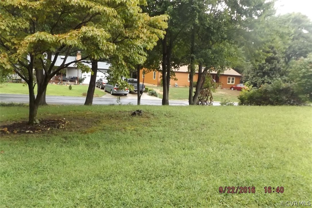 11101 Timonium Drive Chester, VA 23831 - Photo 13 of 18 a tall tree in middle of forest