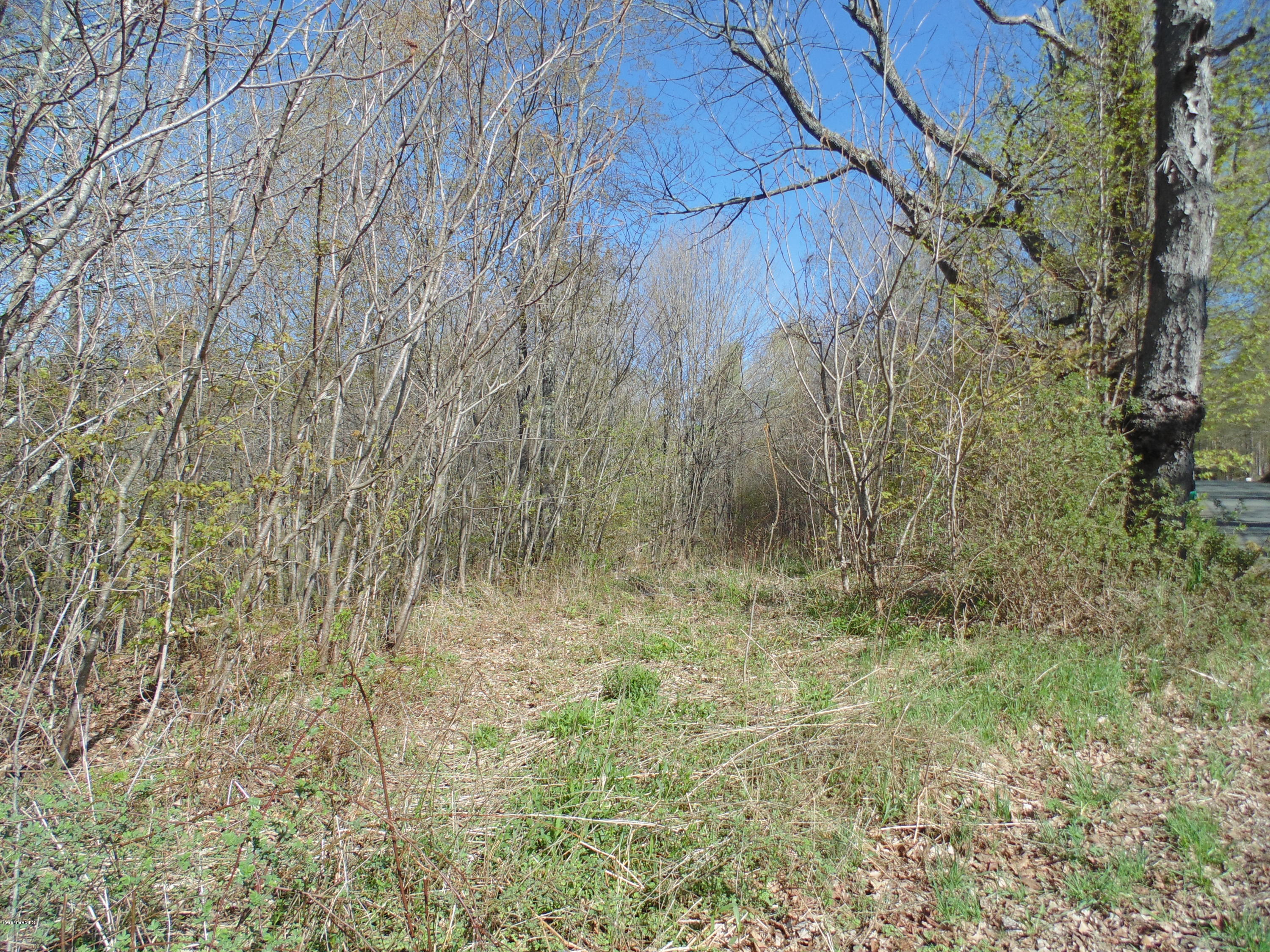 0 Searle Road Huntington, MA 01050 - Photo 1 of 5 a view of small yard