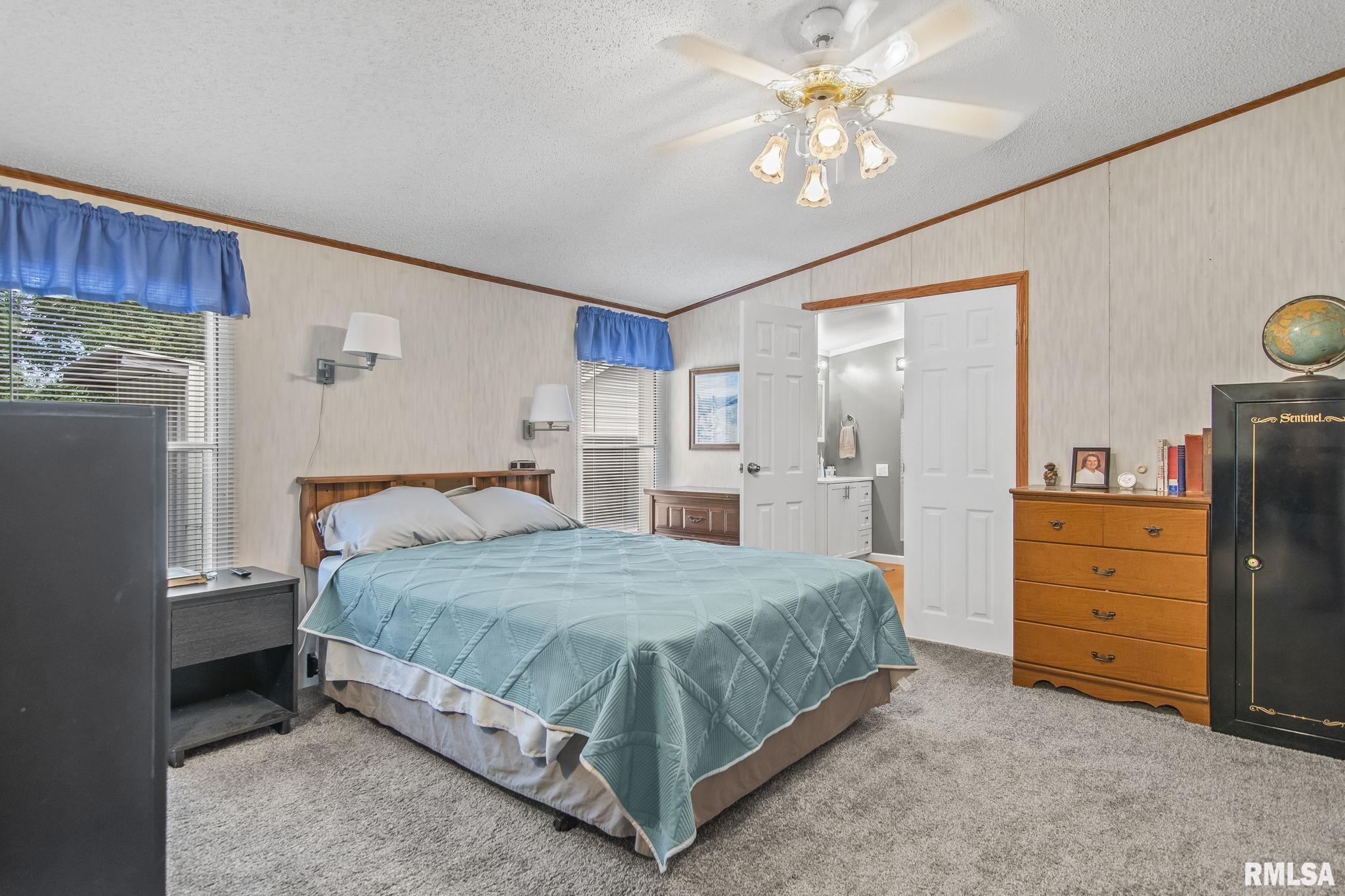 21533 Curtis Black Top Road Greenview, IL 62642 - Photo 24 of 44 Gallery Image 24