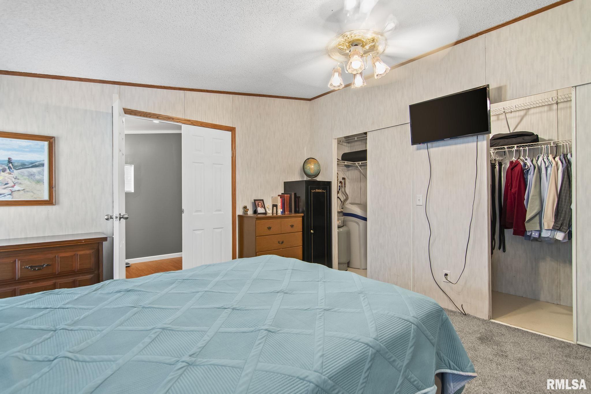 21533 Curtis Black Top Road Greenview, IL 62642 - Photo 25 of 44 Gallery Image 25