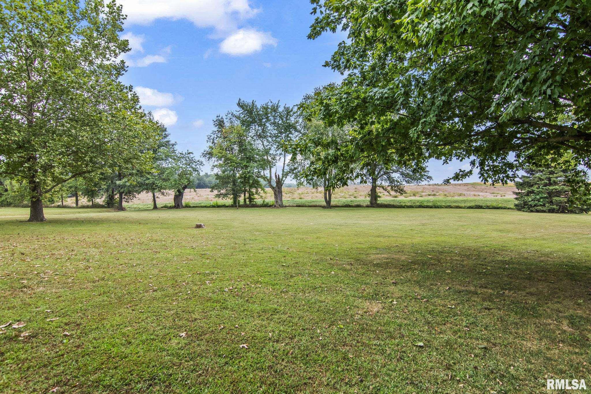 21533 Curtis Black Top Road Greenview, IL 62642 - Photo 39 of 44 Gallery Image 39