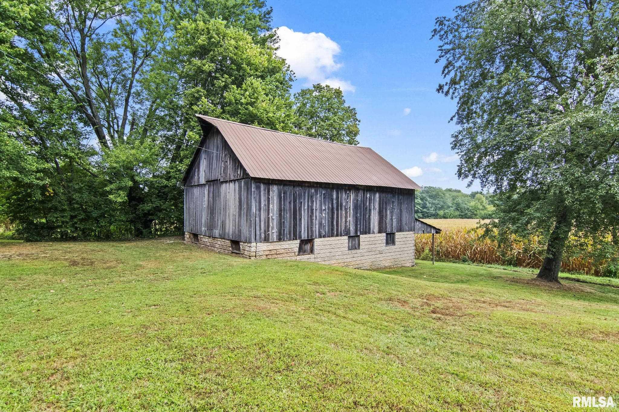 21533 Curtis Black Top Road Greenview, IL 62642 - Photo 42 of 44 Gallery Image 42