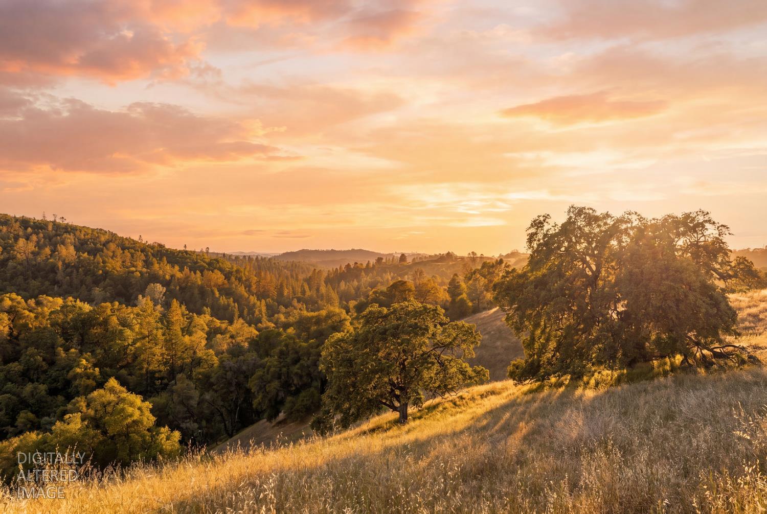 12850 Fiddletown Road Plymouth, CA 95669 - Photo 6 of 88 Sunset to the west
