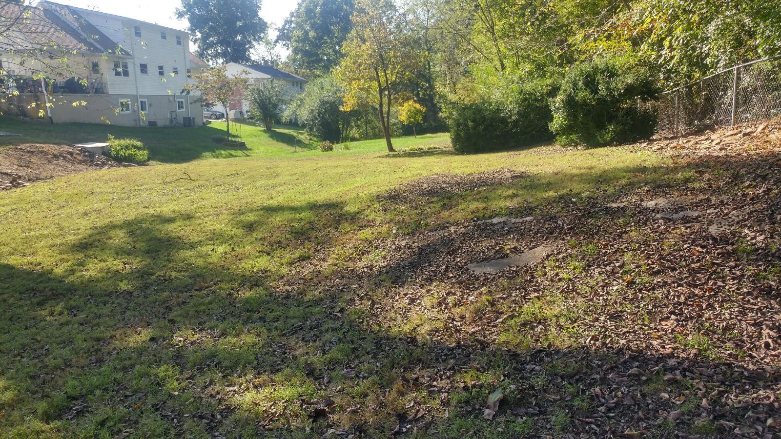 166 Cumberland View Drive Oak Ridge, TN 37830 - Photo 22 of 26 thumbnail (25)