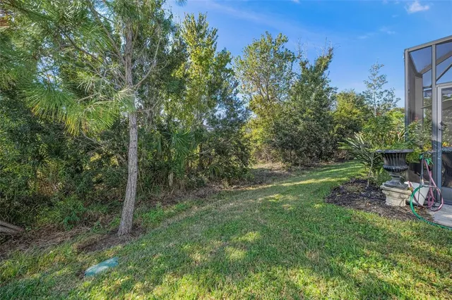 a view of a yard with a tree