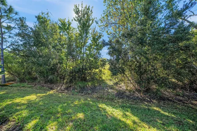 a view of an outdoor space and a yard