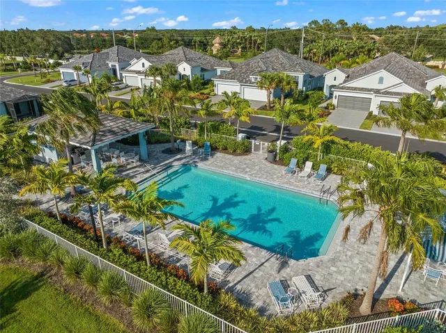 a view of a park with palm trees