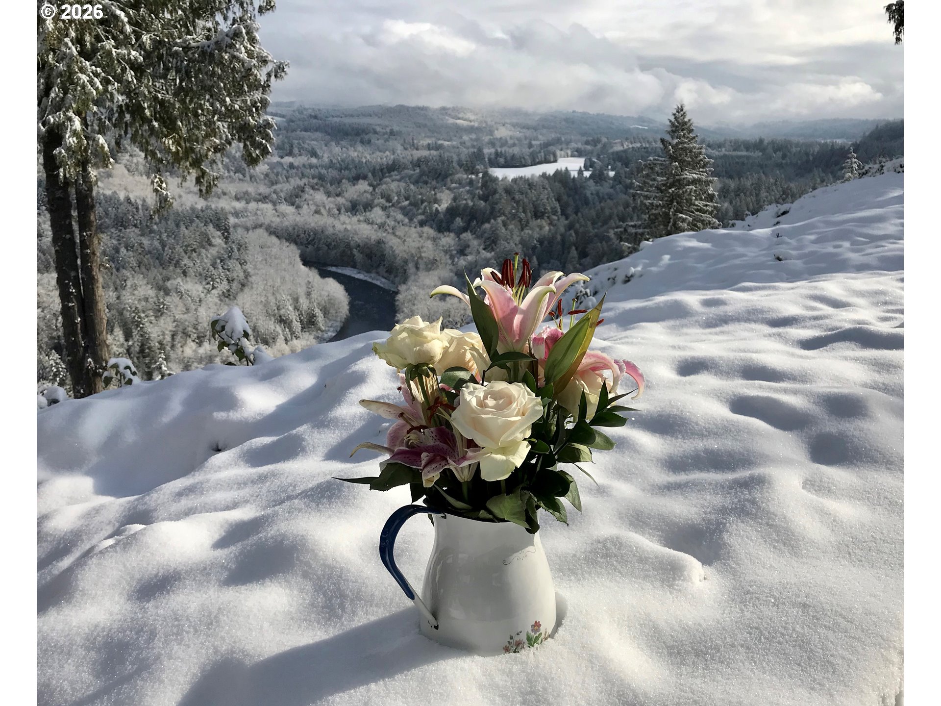 15880 Southeast Bluff Road Sandy, OR 97055 - Photo 46 of 47 a vase of flowers sitting on a table