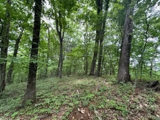 0 Stanton Road Seymour, TN 37865 - Photo 26 of 35 Gallery Image 26