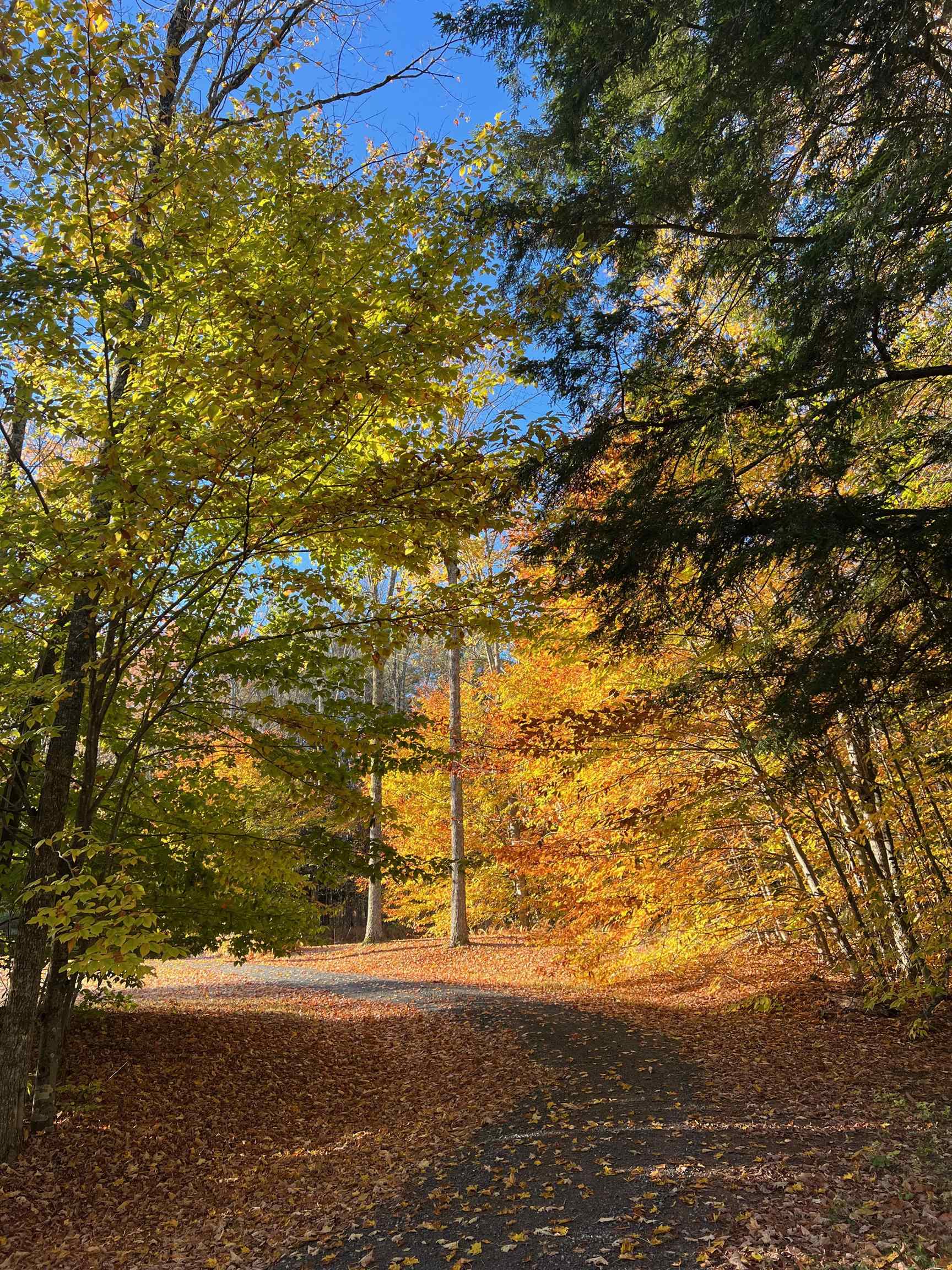 358 Cowdrey Path Woodstock, VT 05071 - Photo 45 of 46