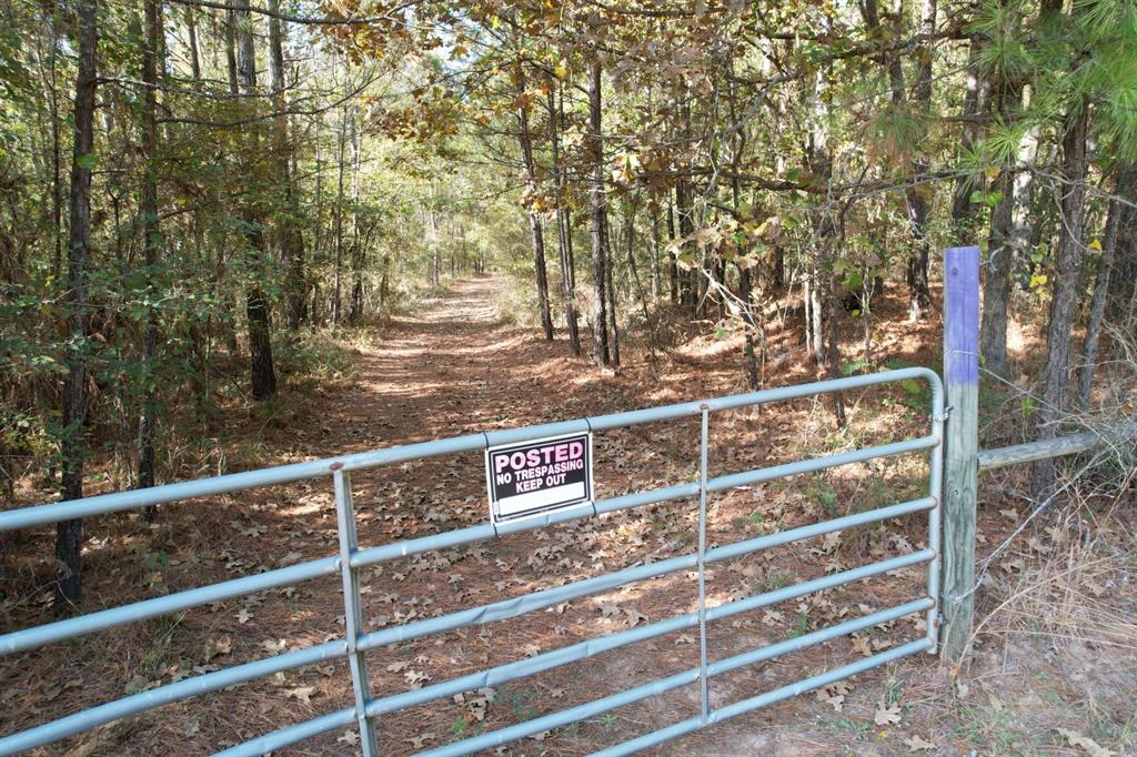 Tbd-a Boggy Road Waskom, TX 75692 - Photo 12 of 32 a view of a street with a tree