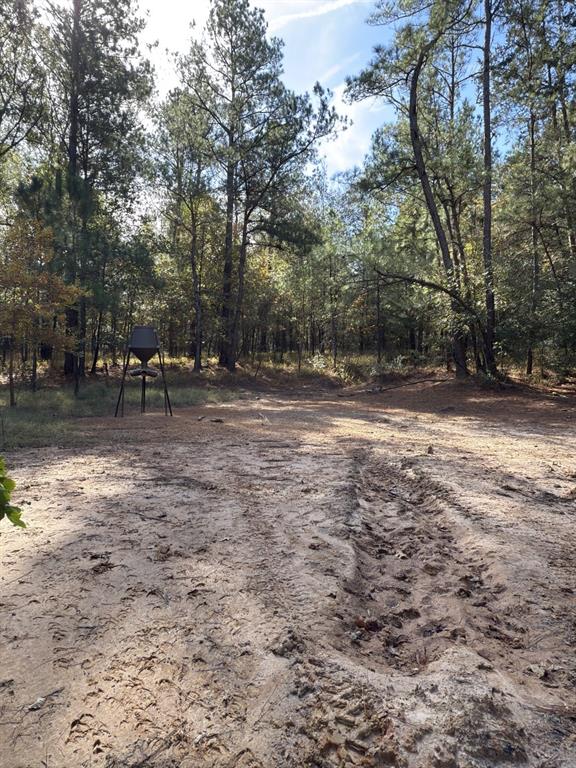 Tbd-a Boggy Road Waskom, TX 75692 - Photo 17 of 32 a view of a yard with a tree