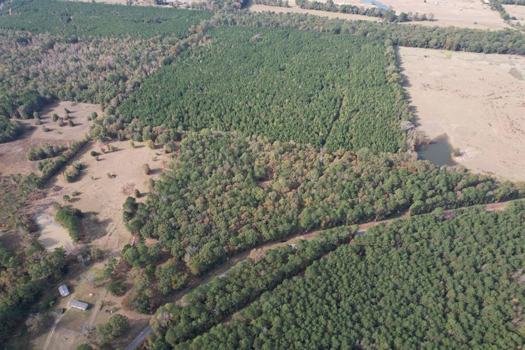 Tbd-a Boggy Road Waskom, TX 75692 - Photo 2 of 32 a view of a yard with plants and large trees