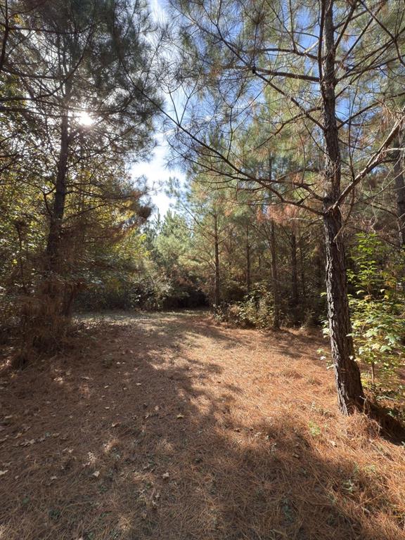 Tbd-a Boggy Road Waskom, TX 75692 - Photo 23 of 32 a view of a yard with a tree