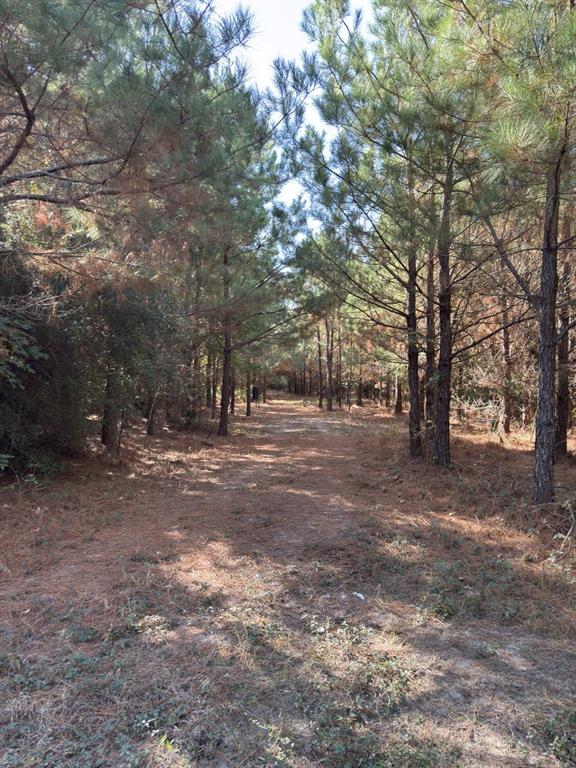 Tbd-a Boggy Road Waskom, TX 75692 - Photo 25 of 32 a view of outdoor space with trees