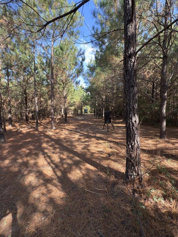 Tbd-a Boggy Road Waskom, TX 75692 - Photo 27 of 32 a view of outdoor space with trees