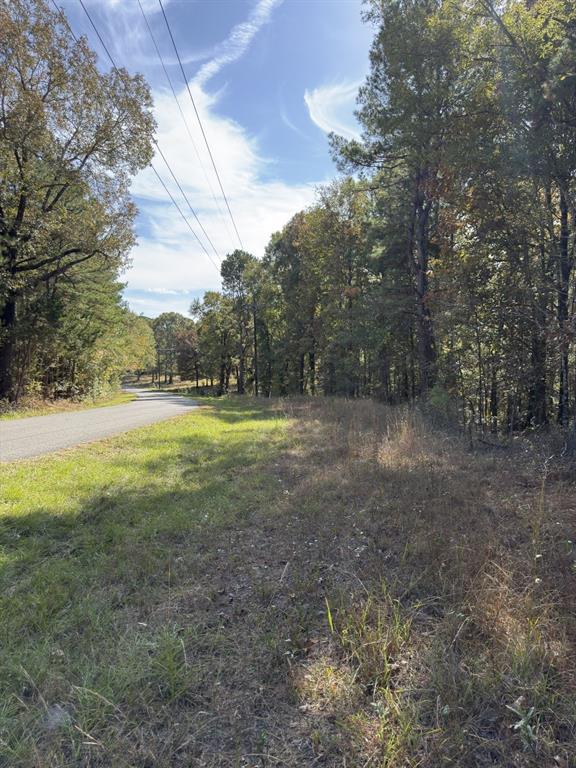 Tbd-a Boggy Road Waskom, TX 75692 - Photo 29 of 32 a view of outdoor space with trees all around