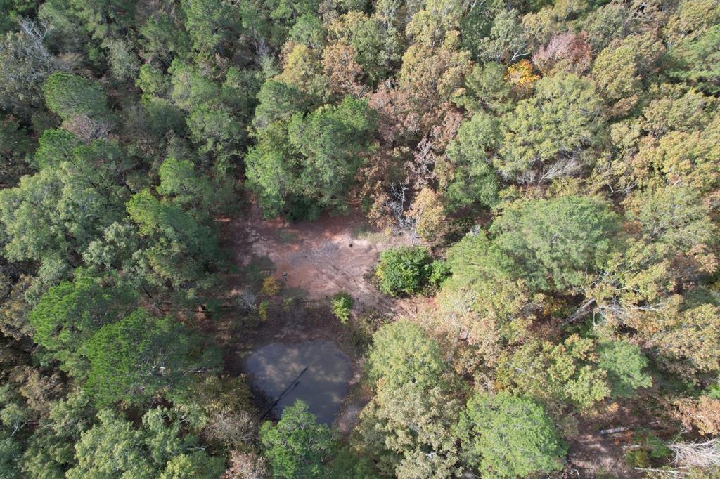Tbd-a Boggy Road Waskom, TX 75692 - Photo 4 of 32 a view of a large yard with lots of green space