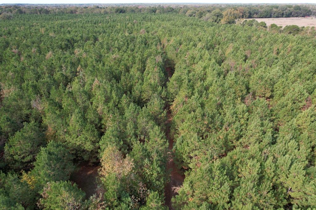 Tbd-a Boggy Road Waskom, TX 75692 - Photo 6 of 32 an aerial view of residential house with outdoor space and trees all around
