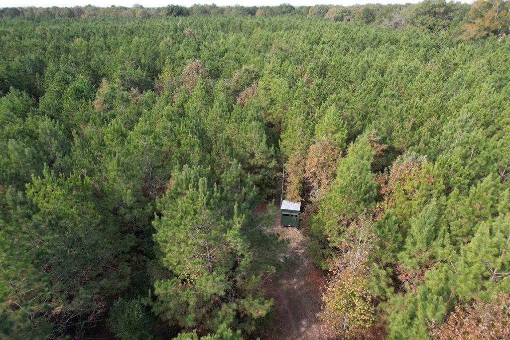 Tbd-a Boggy Road Waskom, TX 75692 - Photo 7 of 32 a view of a forest with a street