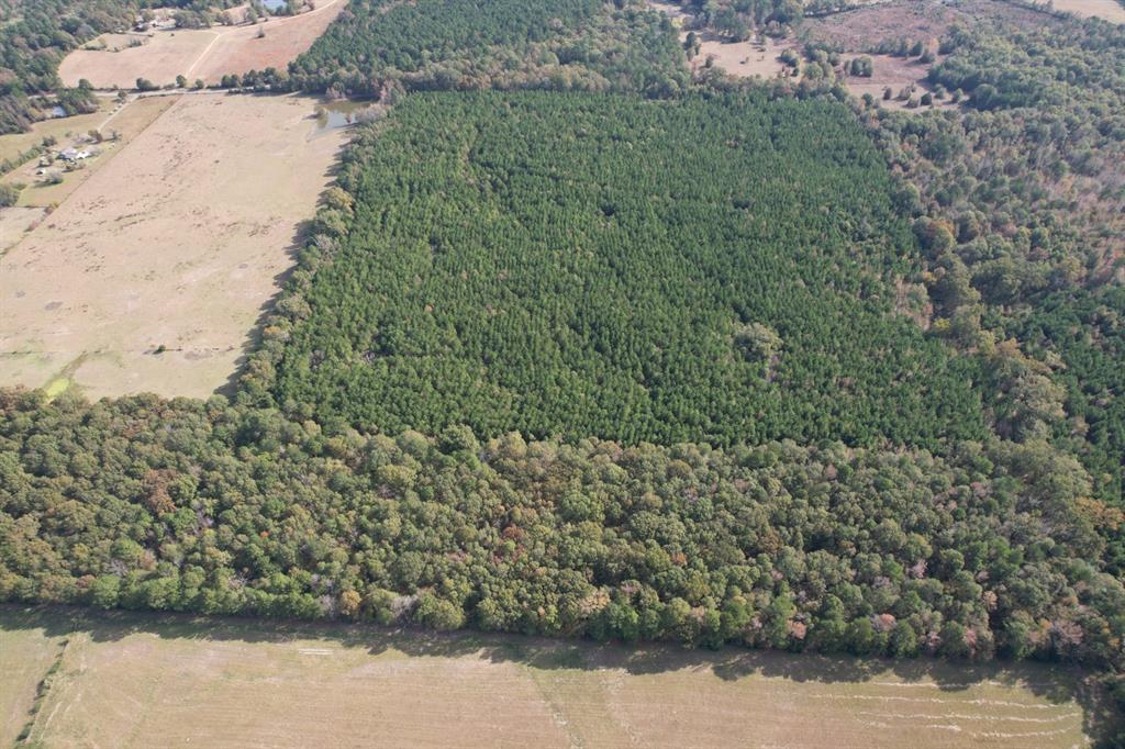 Tbd-a Boggy Road Waskom, TX 75692 - Photo 8 of 32 a view of a lake with a park