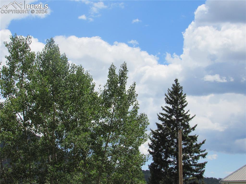 211 5th Street Victor, CO 80860 - Photo 16 of 22 a view of a city with lush green forest
