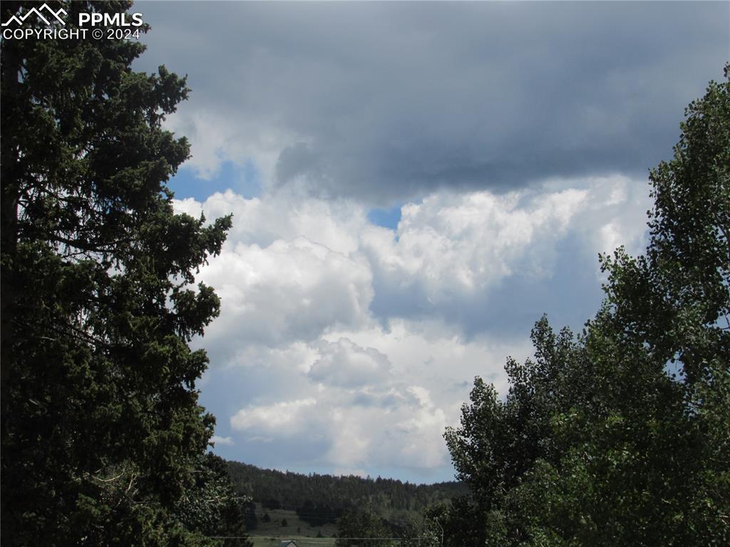 211 5th Street Victor, CO 80860 - Photo 17 of 22 a view of a lot of trees in the background