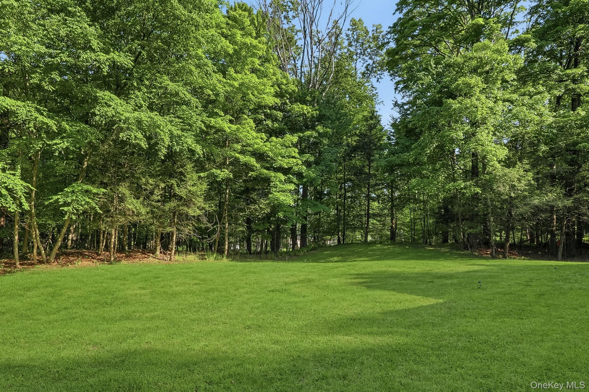 145 Youngblood Road Montgomery, NY 12549 - Photo 36 of 36