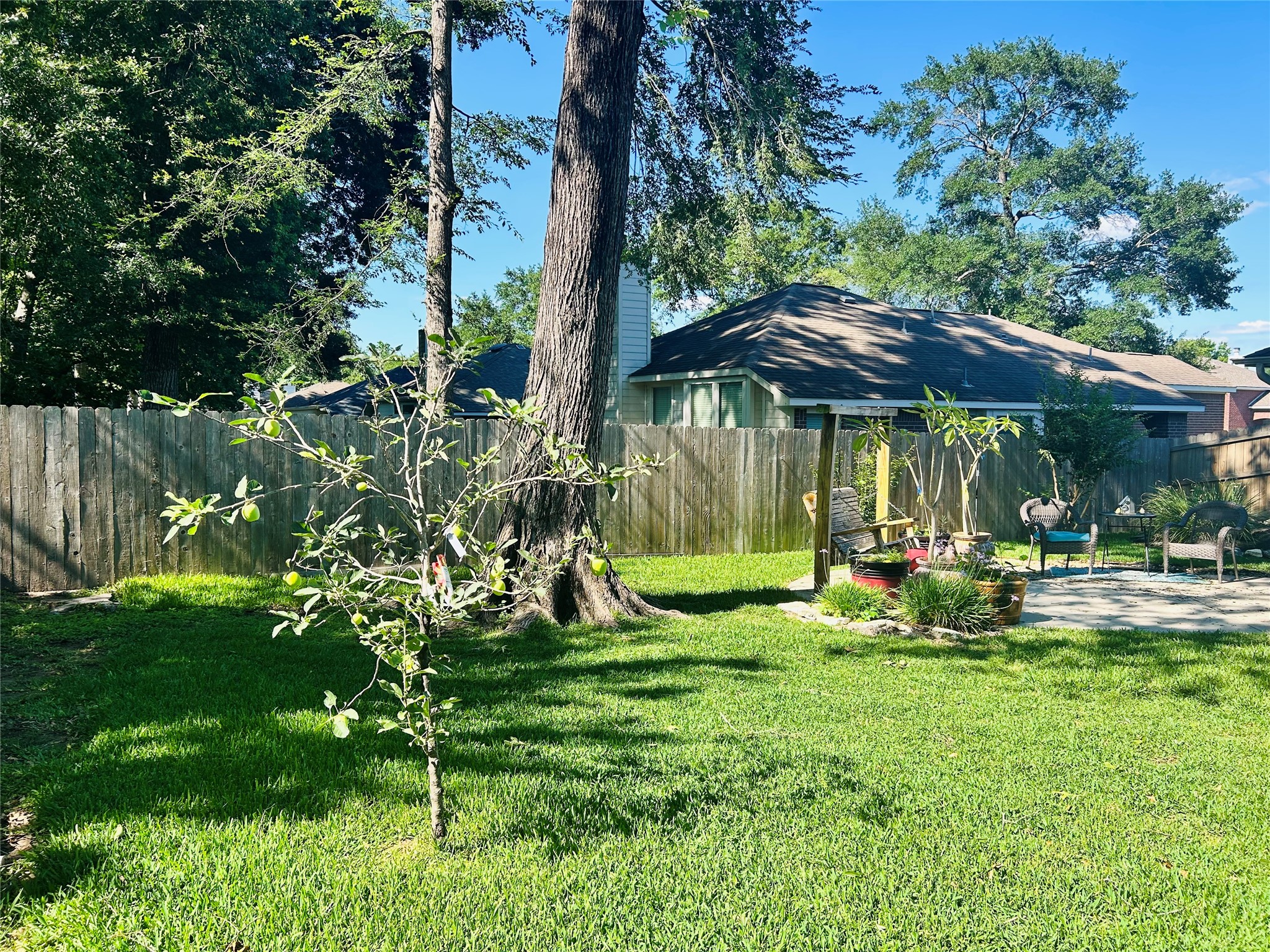 242 Sunset Path North Conroe, TX 77316 - Photo 36 of 37 Your own APPLE TREE is already producing fruit! Charming and updated, come tour 242 Sunset Path N today!