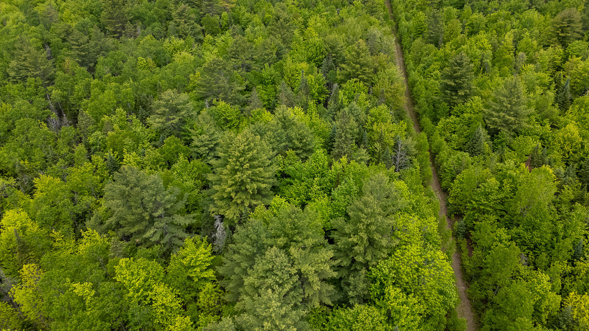 M5-l28 Cemetery Road Guilford, ME 04443 - Photo 46 of 58 DJI_20260602111946_0472_D