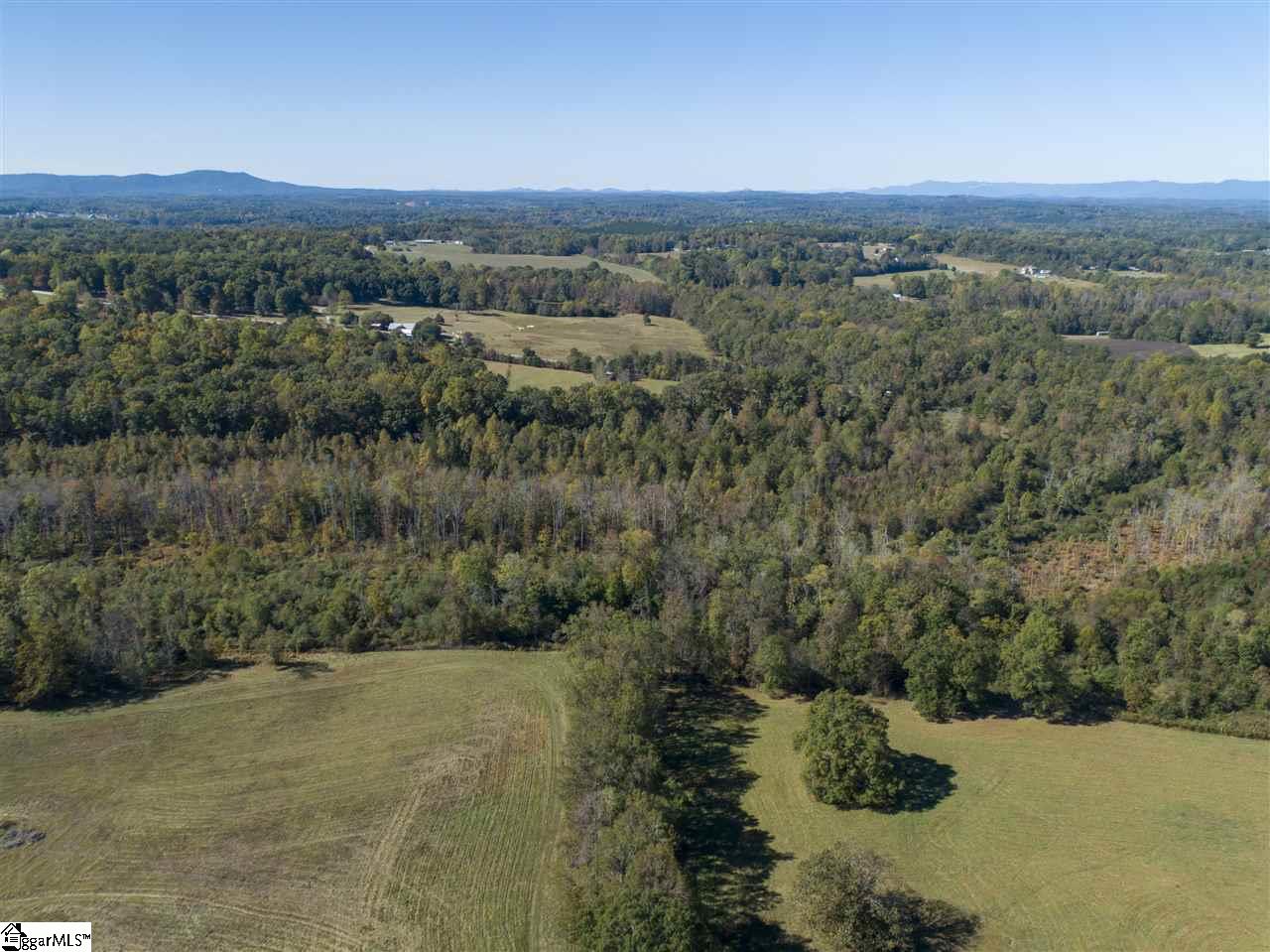 3888 Pennington Road, Unit TRACT 5 Greer, SC 29651 - Photo 3 of 8