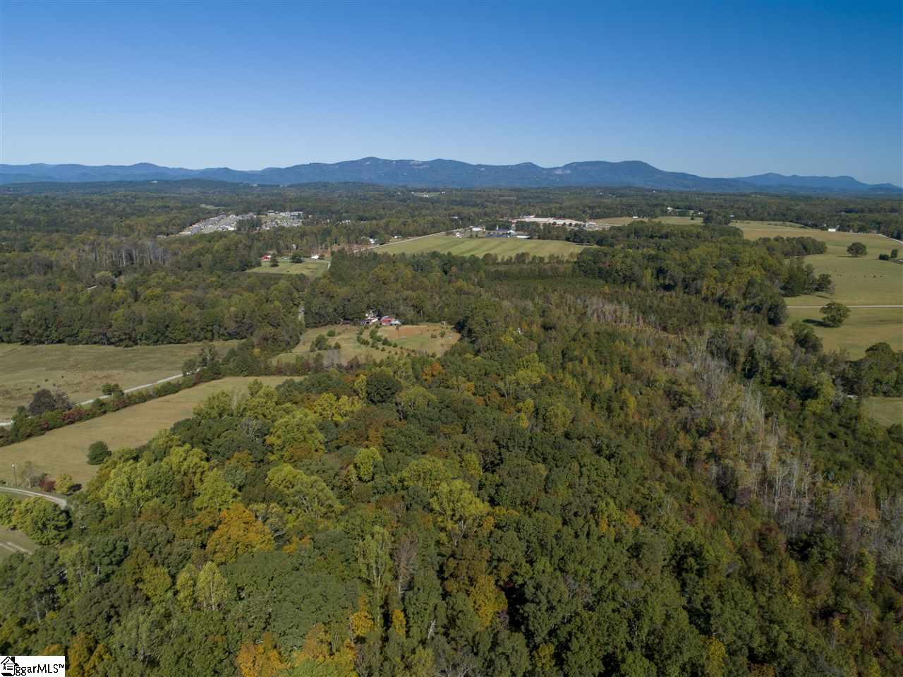 3888 Pennington Road, Unit TRACT 5 Greer, SC 29651 - Photo 5 of 8