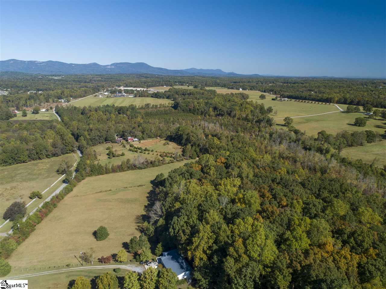 3888 Pennington Road, Unit TRACT 5 Greer, SC 29651 - Photo 6 of 8