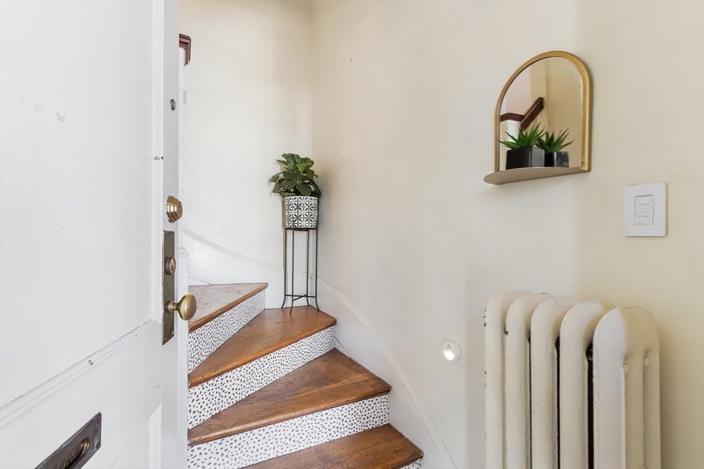 8 Carleton Road Belmont, MA 02478 - Photo 19 of 40 Gallery Image 19