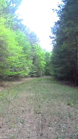 $437,950 | 190 Point Blank Tx 77364, Point Blank, TX 77364