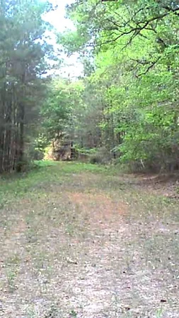 $437,950 | 190 Point Blank Tx 77364, Point Blank, TX 77364