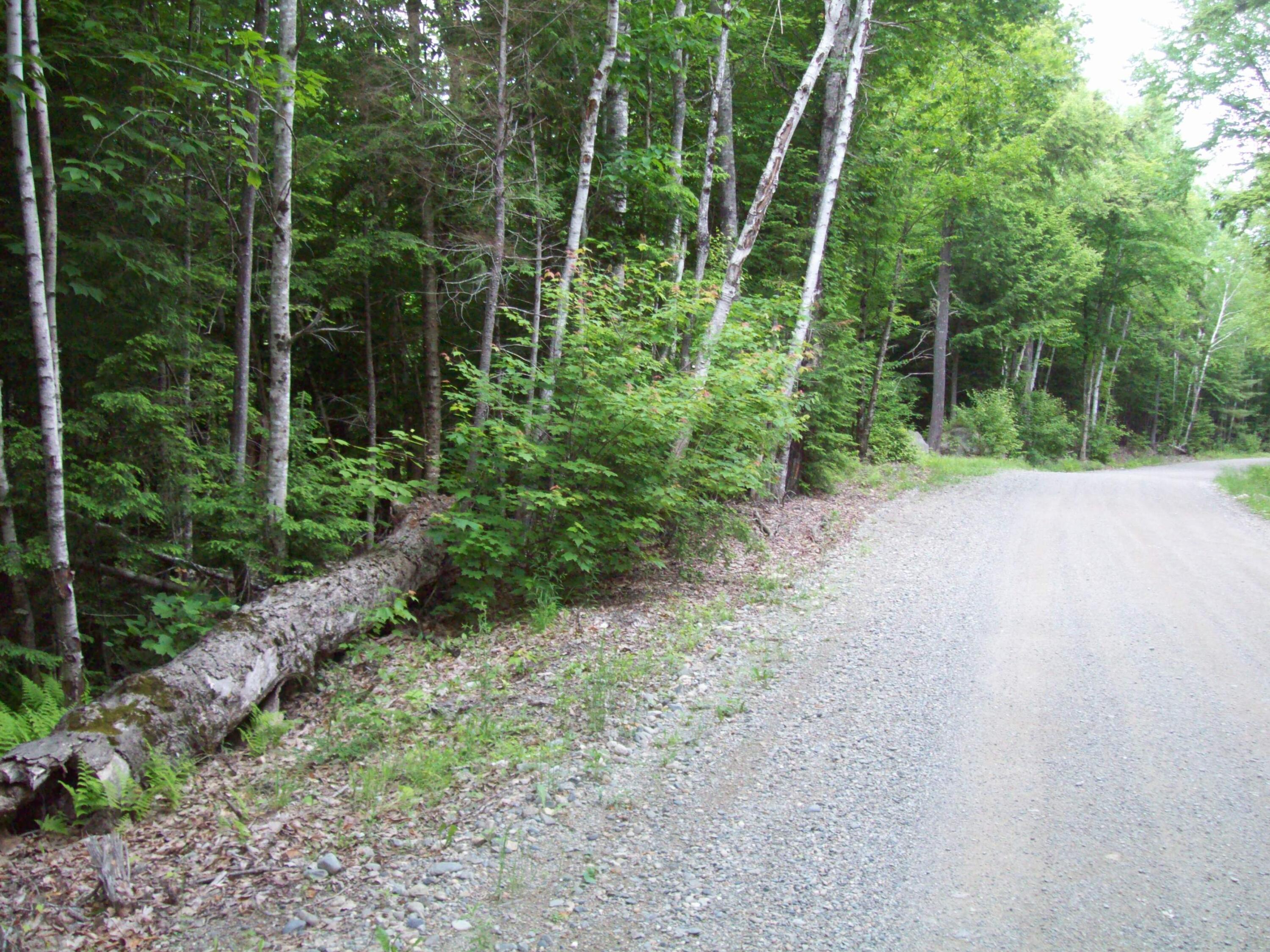 41-015 Pierce Webber Road Lincoln, ME 04457 - Photo 5 of 14 100_3844