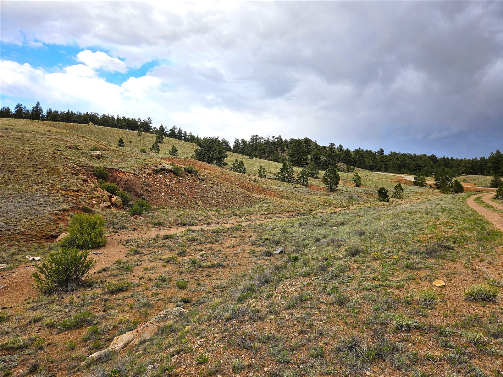 Pcs#25251 Fernando Trail Hartsel, CO 80449 - Photo 14 of 29