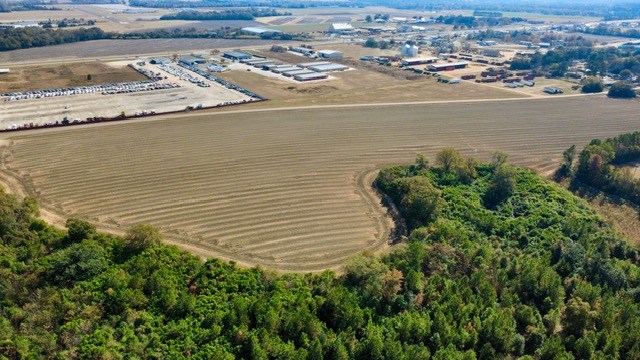 Undisclosed Address Headland, AL 36345 - Photo 8 of 36